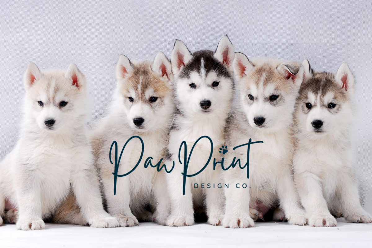 PawPrint Design
